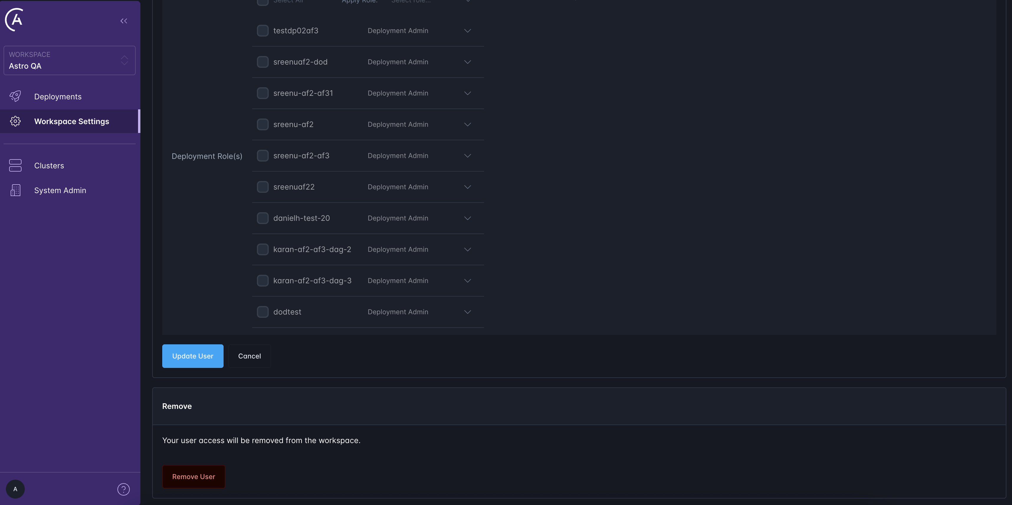 Remove Workspace User