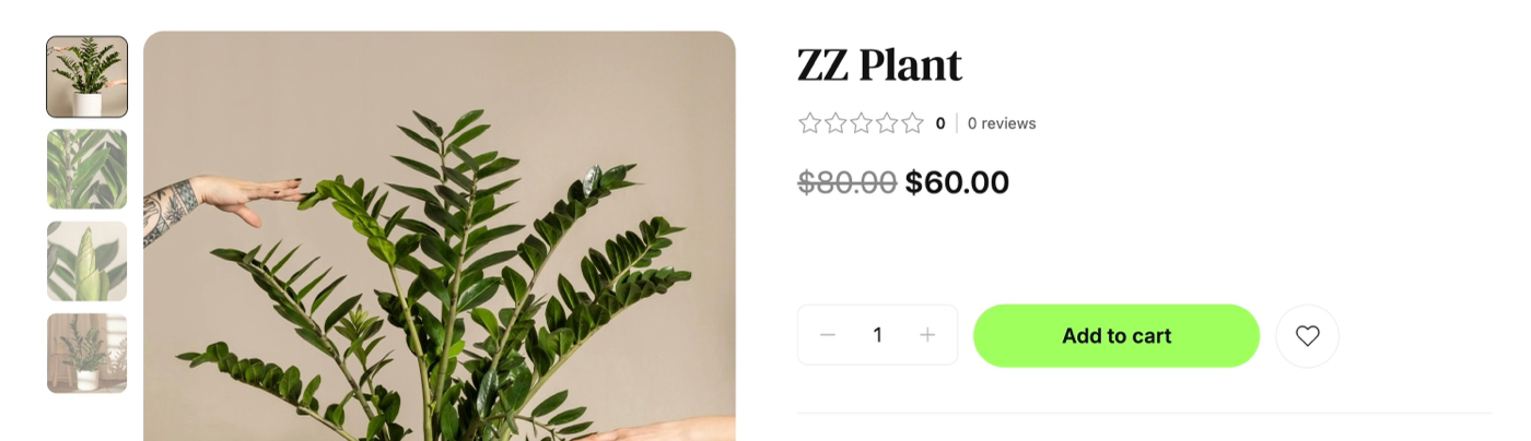 Product price with a strikethrough and a discounted price