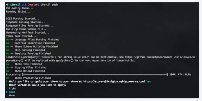Successful theme upload in terminal
