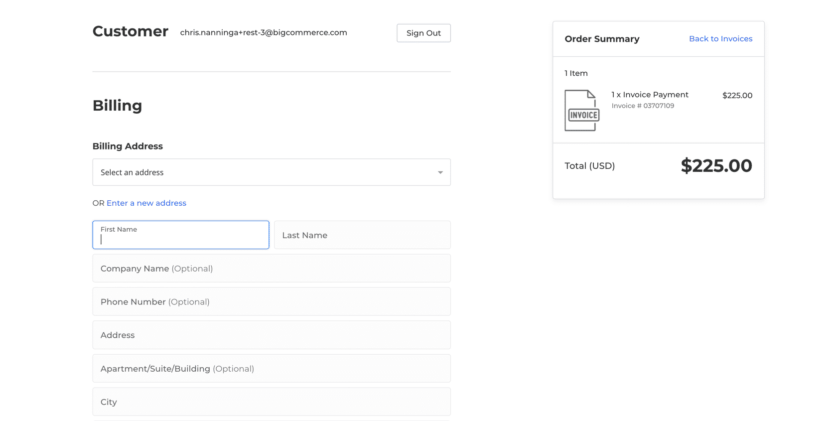 Example of the invoice checkout