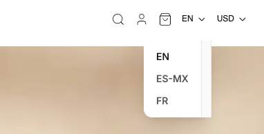 Language and currency switchers