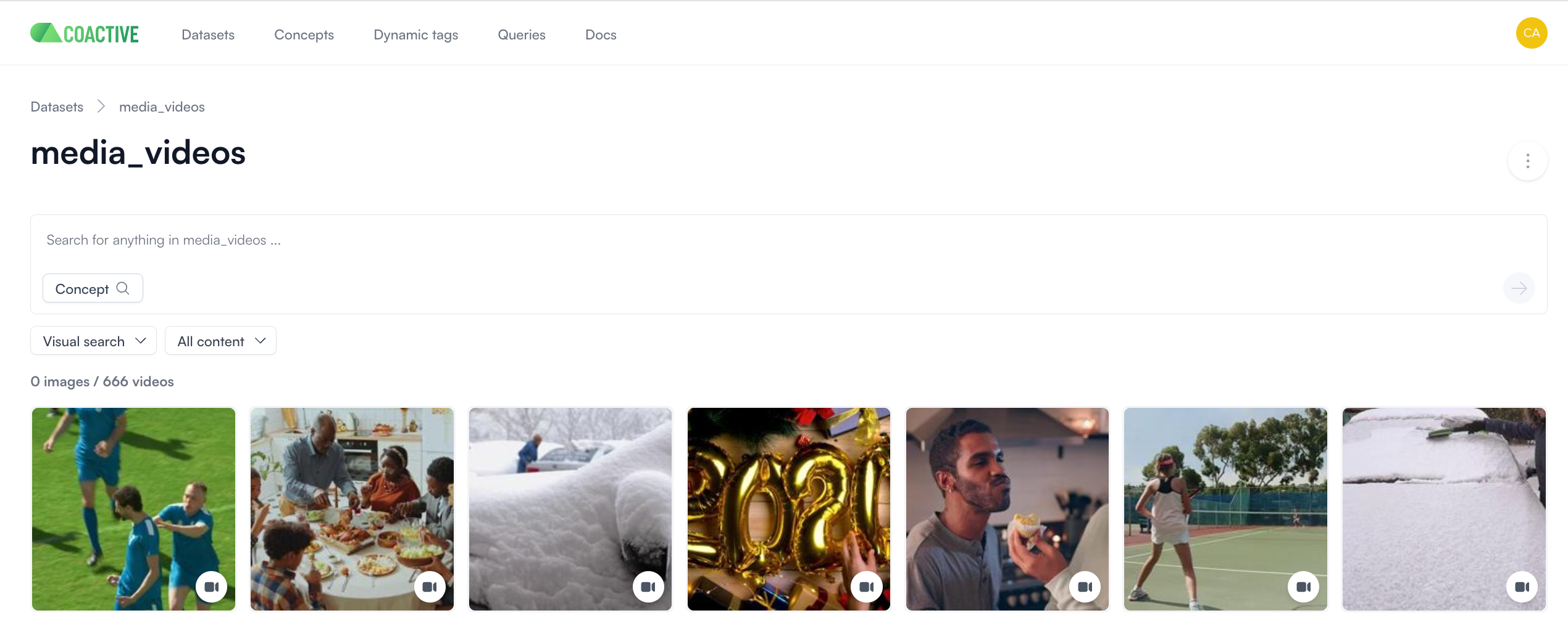 Overview of the Coactive semantic search feature