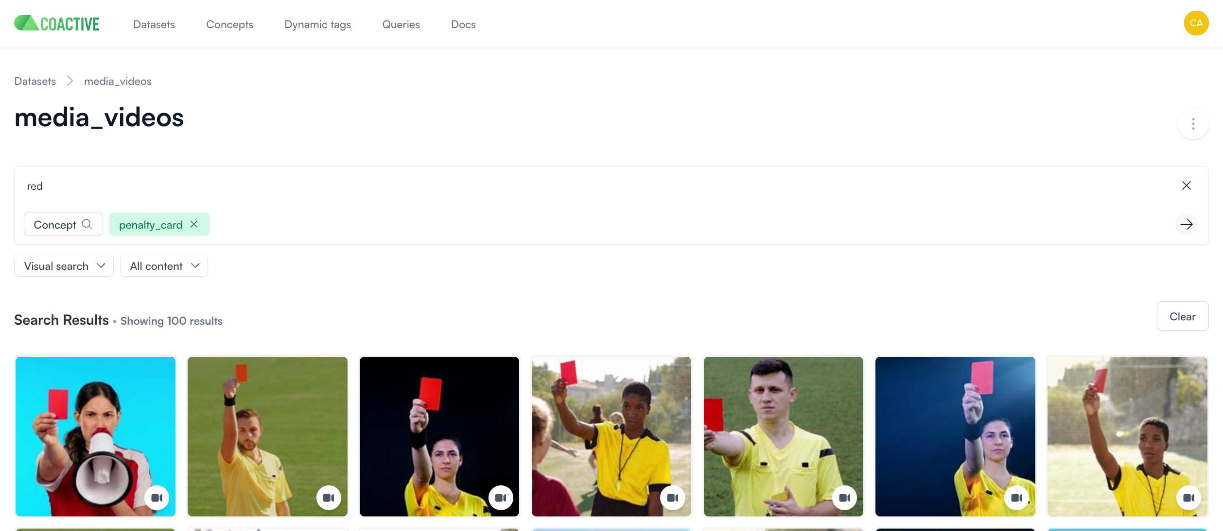 Overview of the Coactive semantic search feature