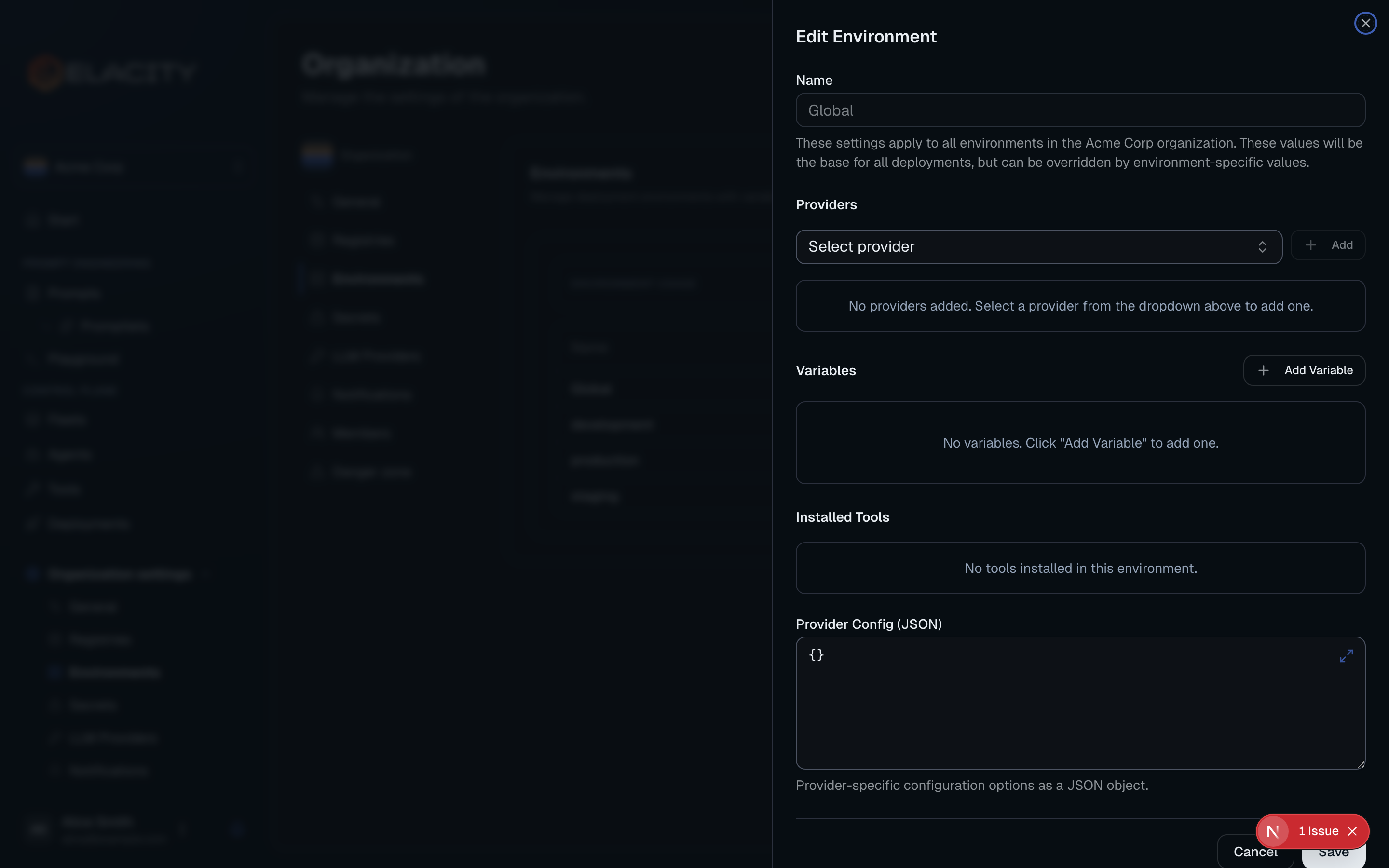 Configure a provider in the environment