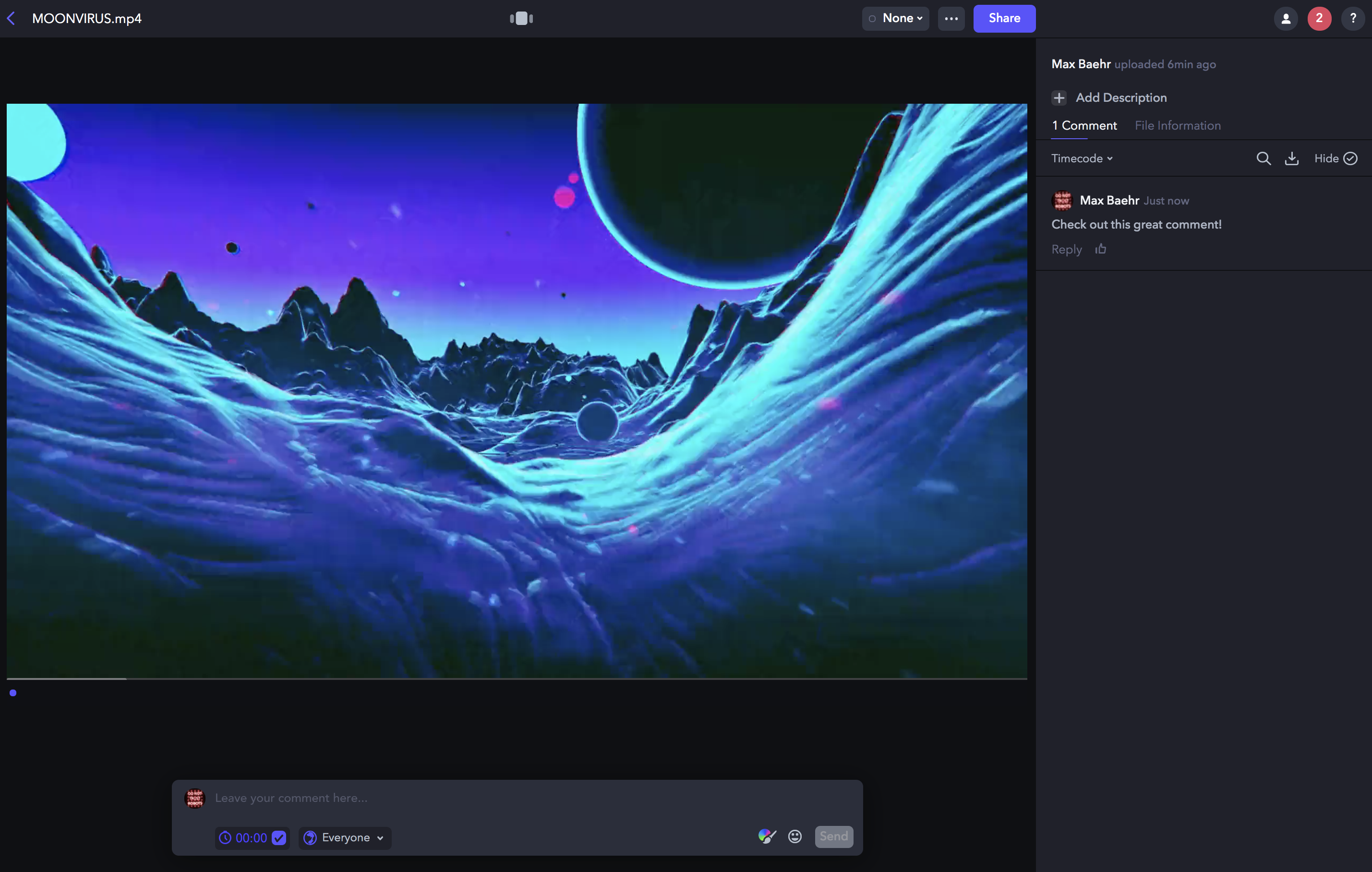 Comment on a new Asset