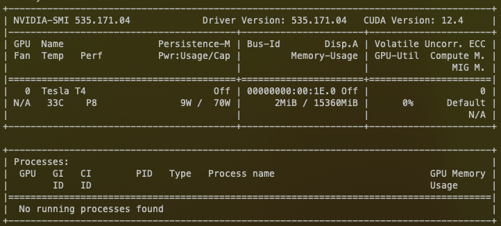 Standard NVIDIA-SMI output shows the GPU visible in your container.