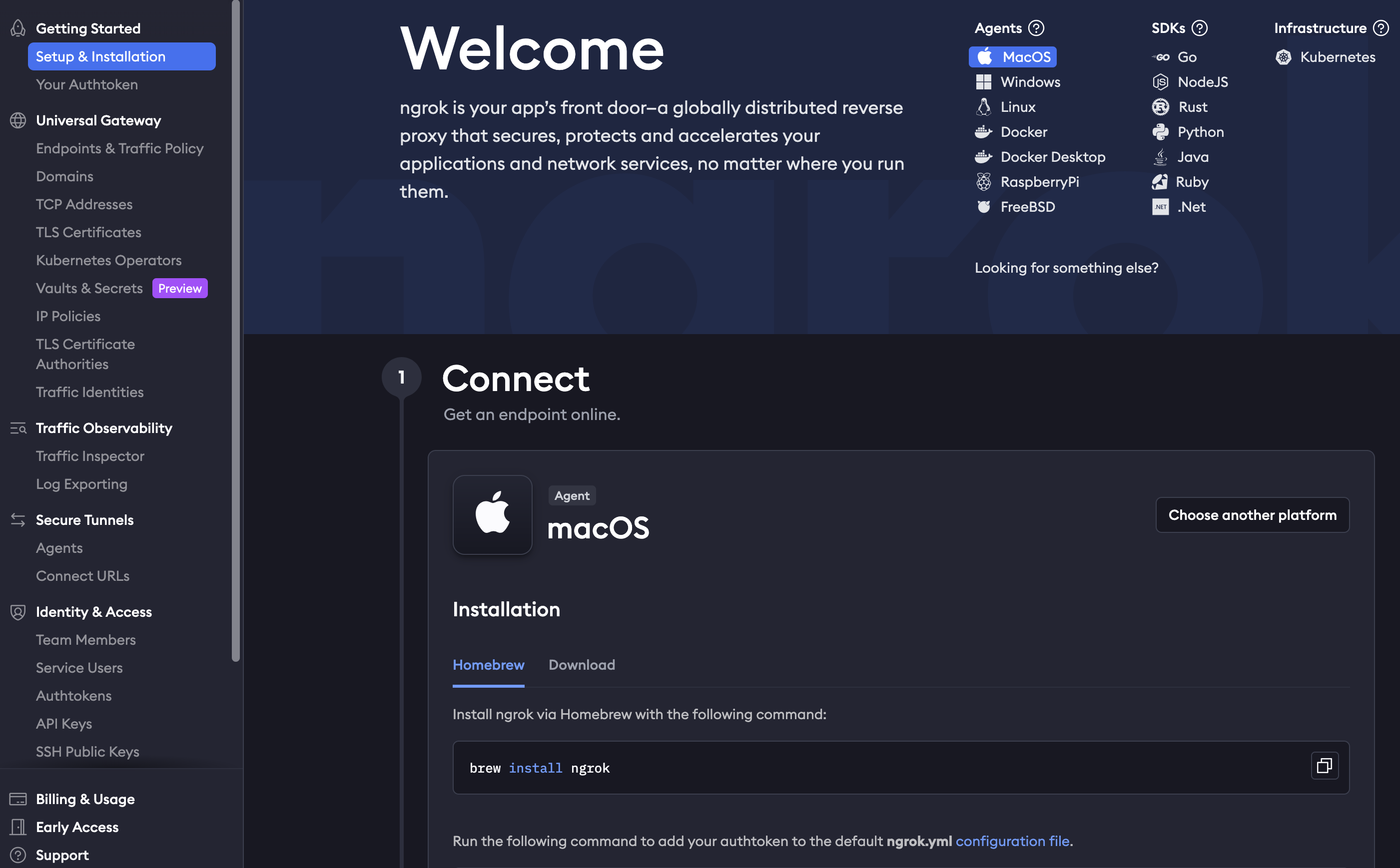 Ngrok setup instructions