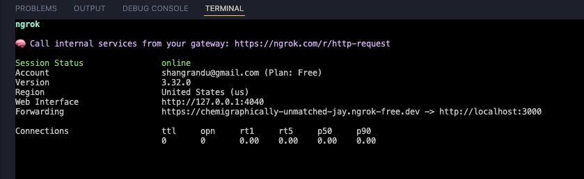 Ngrok terminal output