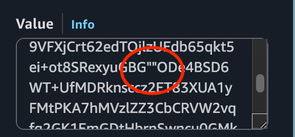 Incorrect Route 53 DKIM configuration with space between quoted strings