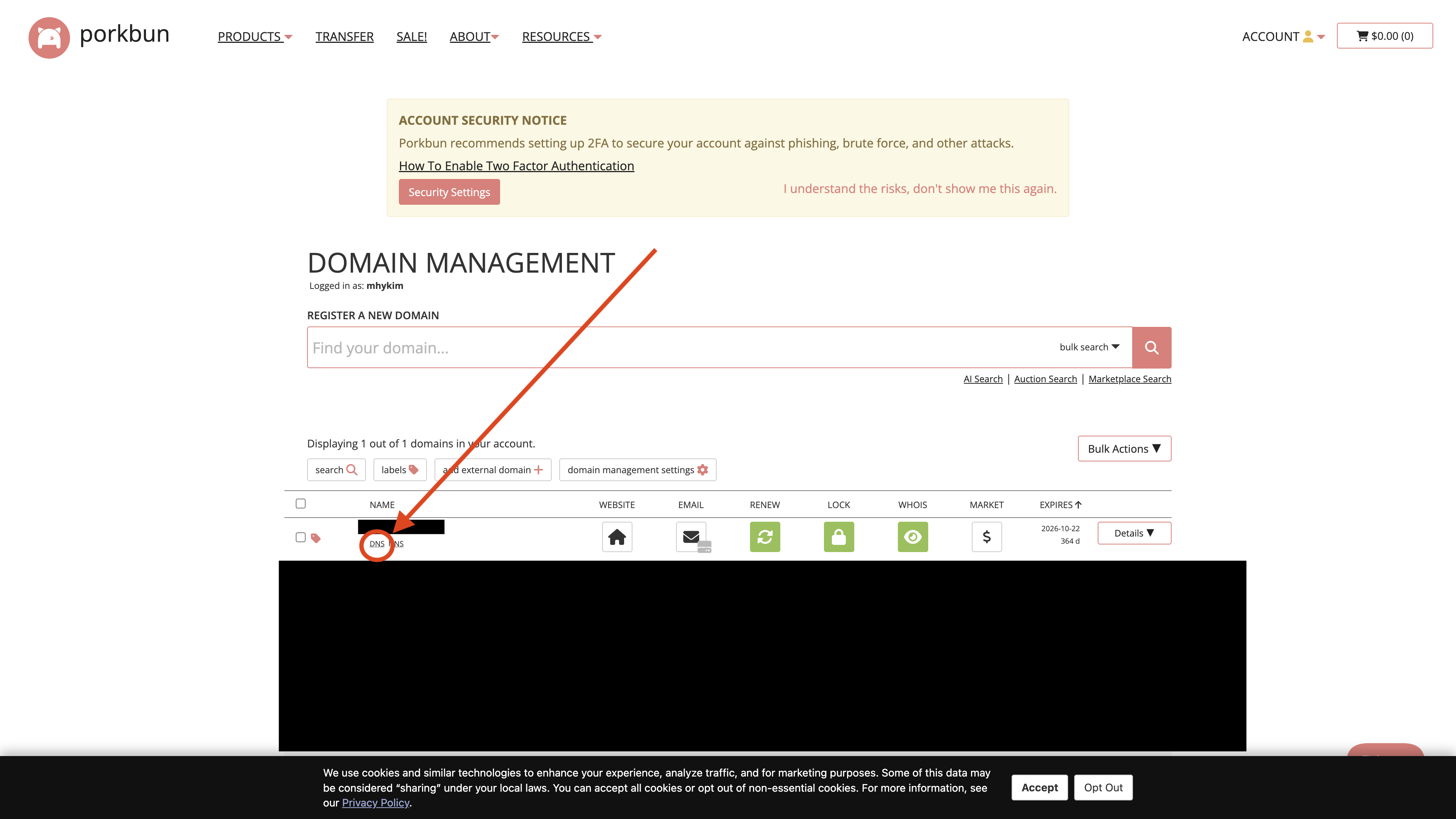 Porkbun DNS Management