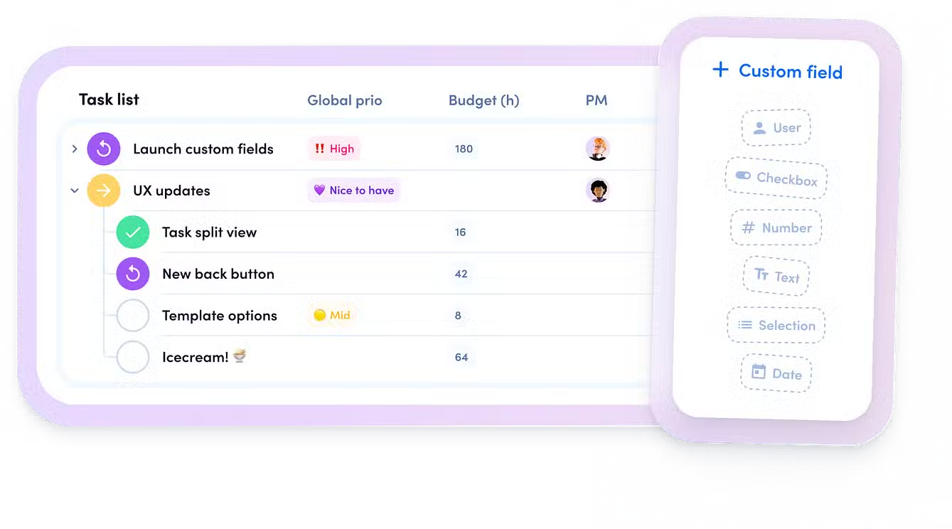 Custom Fields