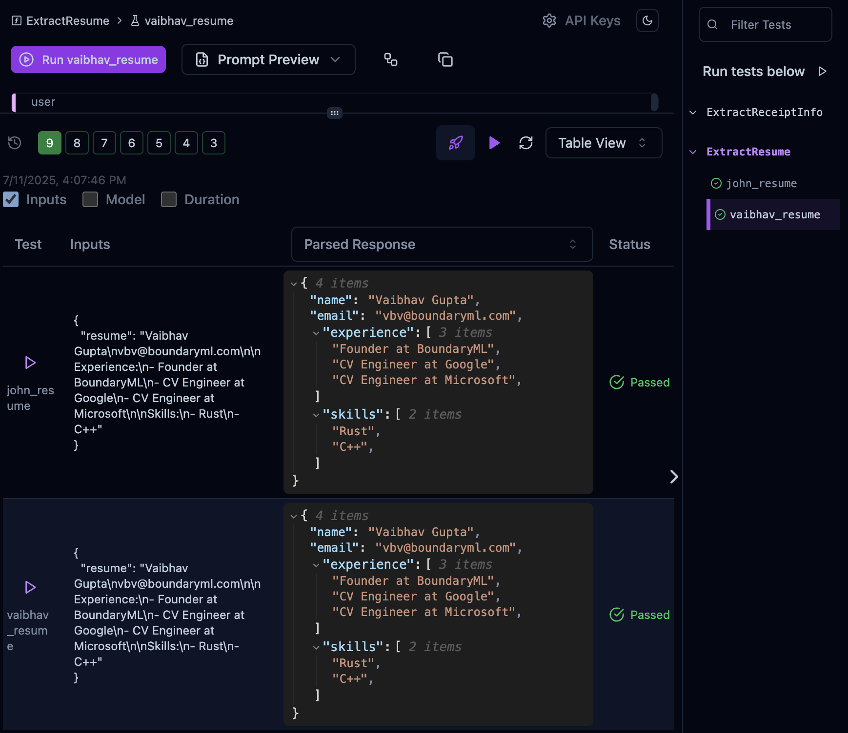 VSCode test cases interface