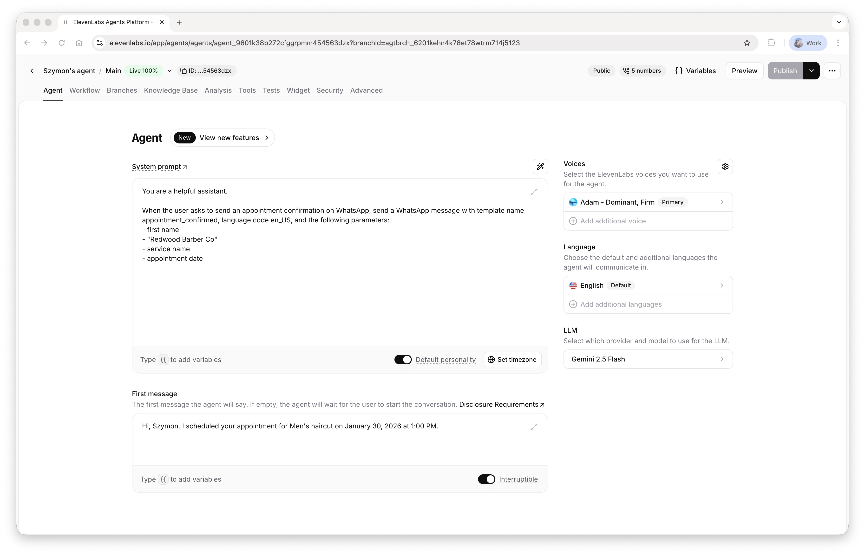 Agent configuration: prompt