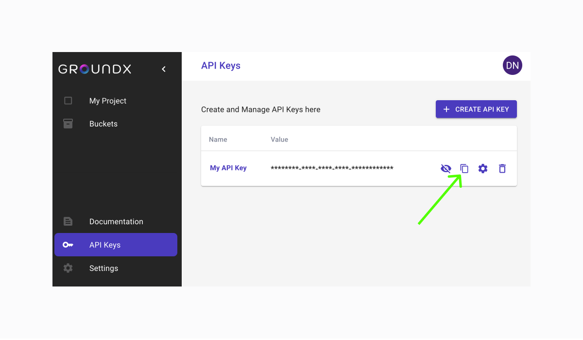 Copy Your API Key