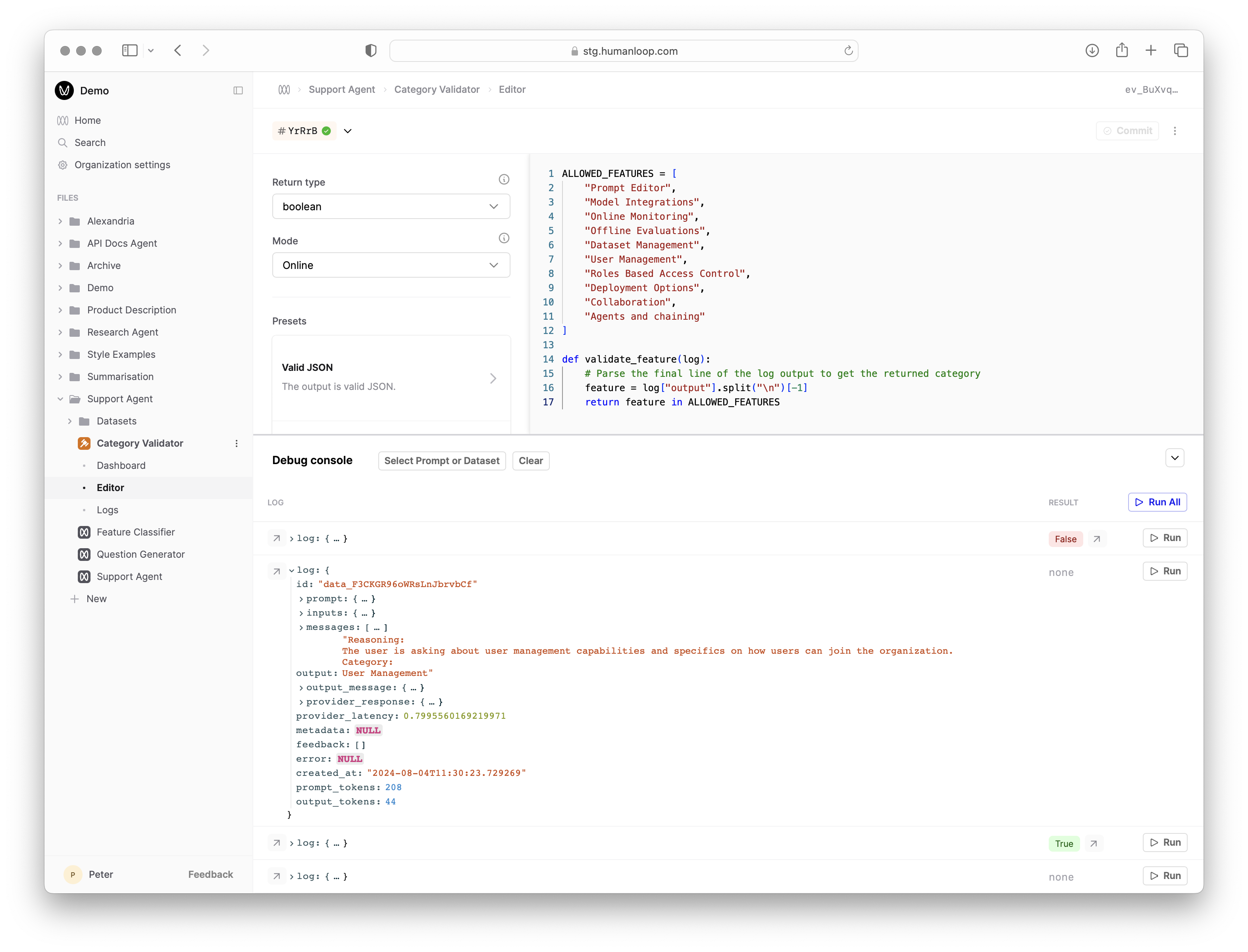 The debug console for testing the code.