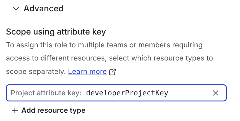 The "developerProjectKey" defined as a role attribute.