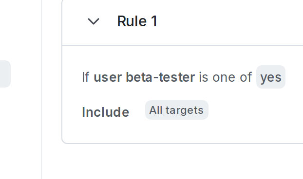A rule-based segment that targets your beta tester customers.