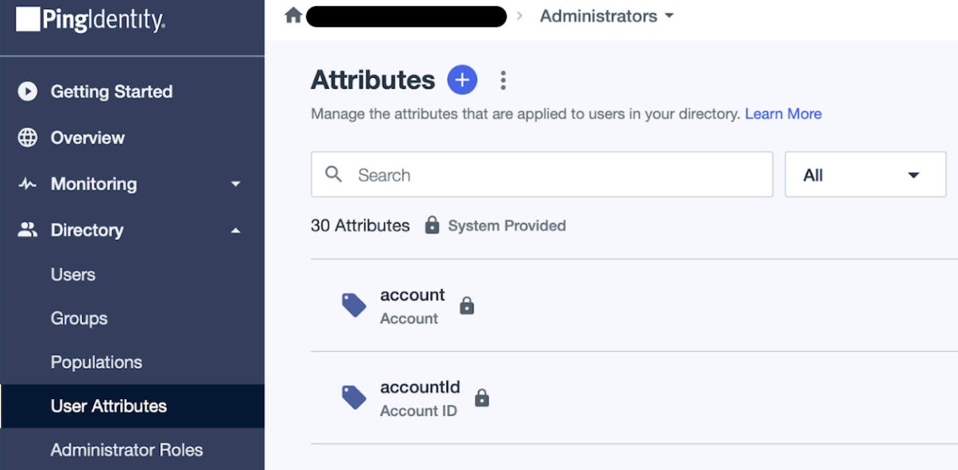 The "User Attributes" screen in PingIdentity.