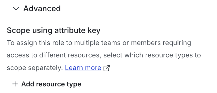 The "Advanced" section of the "New role" page.