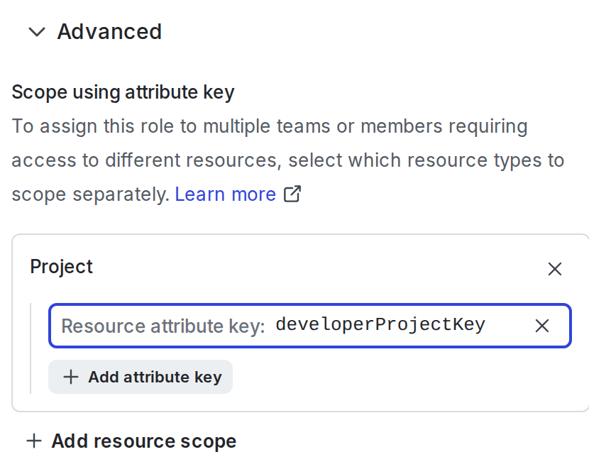 The "developerProjectKey" defined as a role attribute.