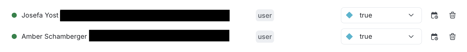 A flag with a user context individually targeted.