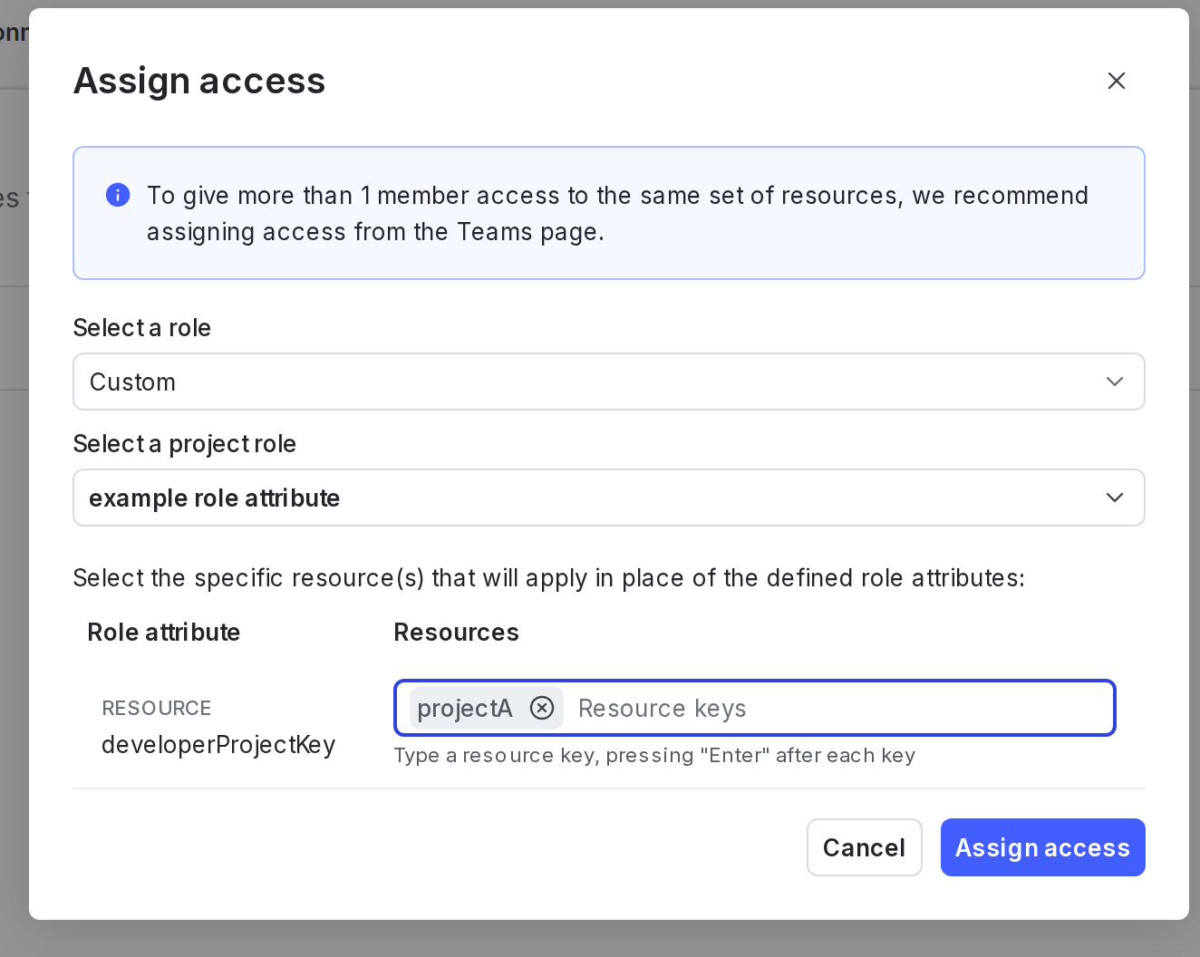 A member's "Assign access" dialog, with a role attribute and resource specified for the role being assigned to this member.