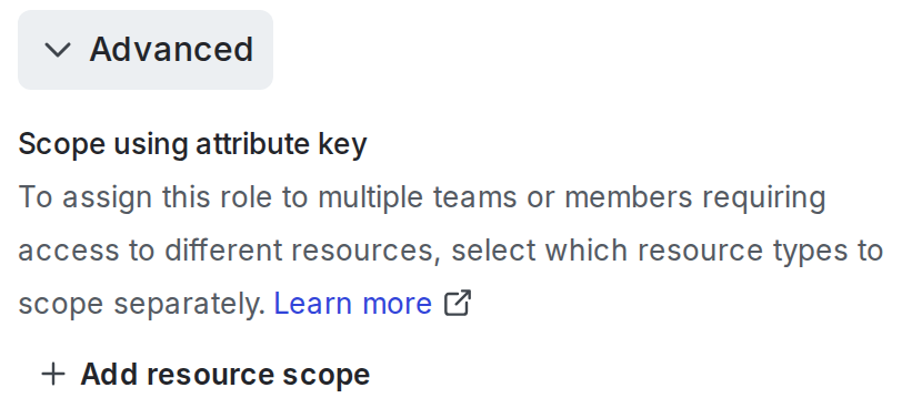 The "Advanced" section of the "New role" page.