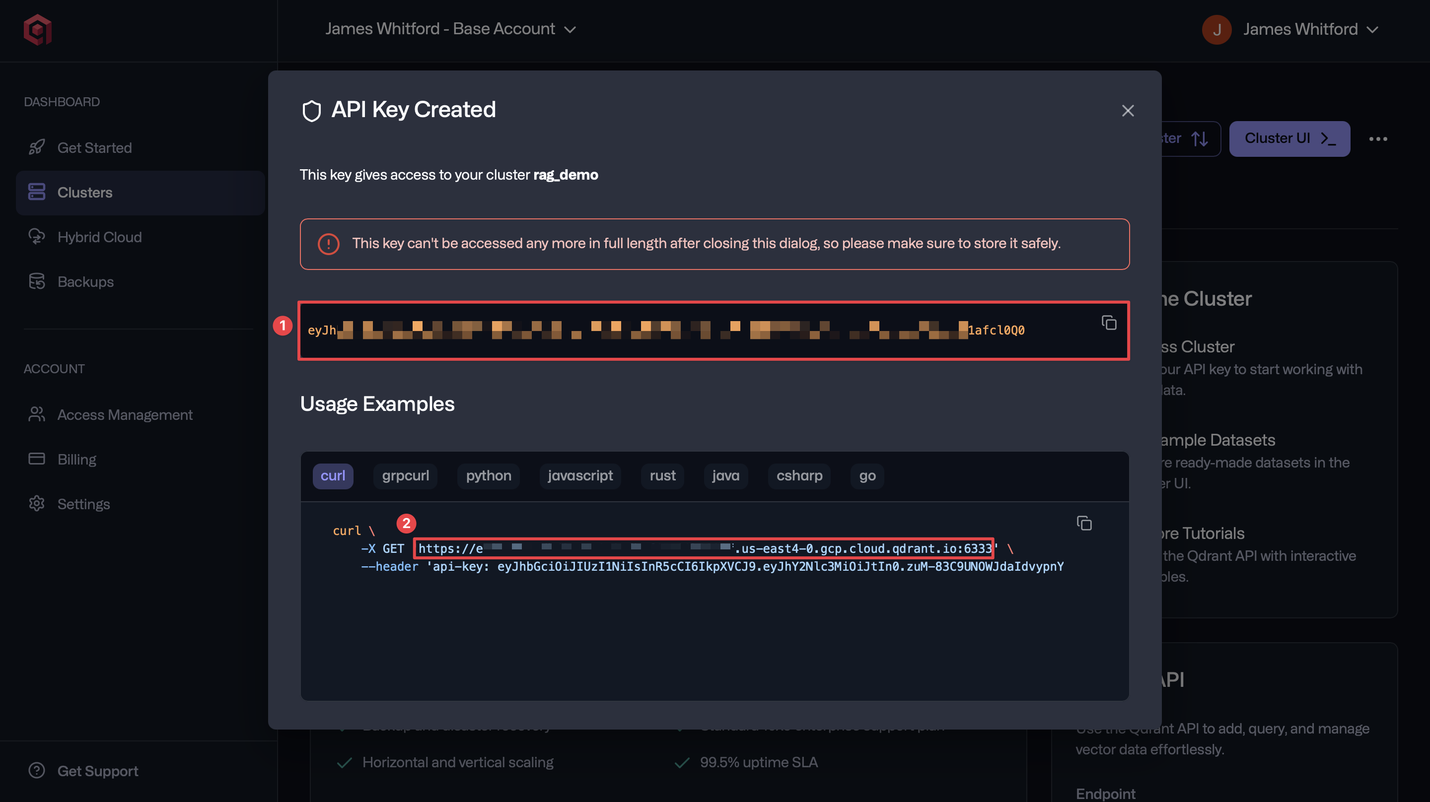 Qdrant Connection Details