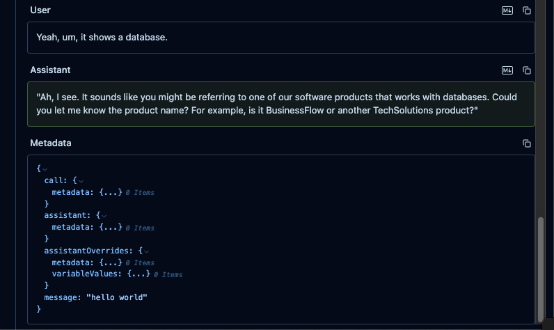 Langfuse Metadata Example