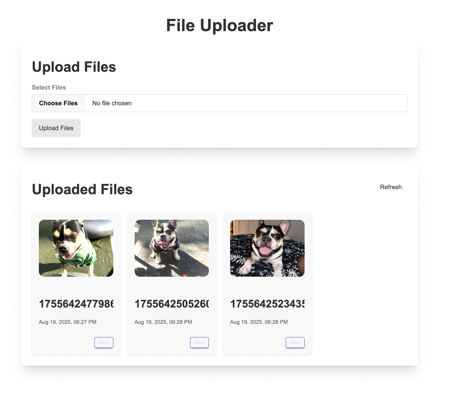 View files in your app