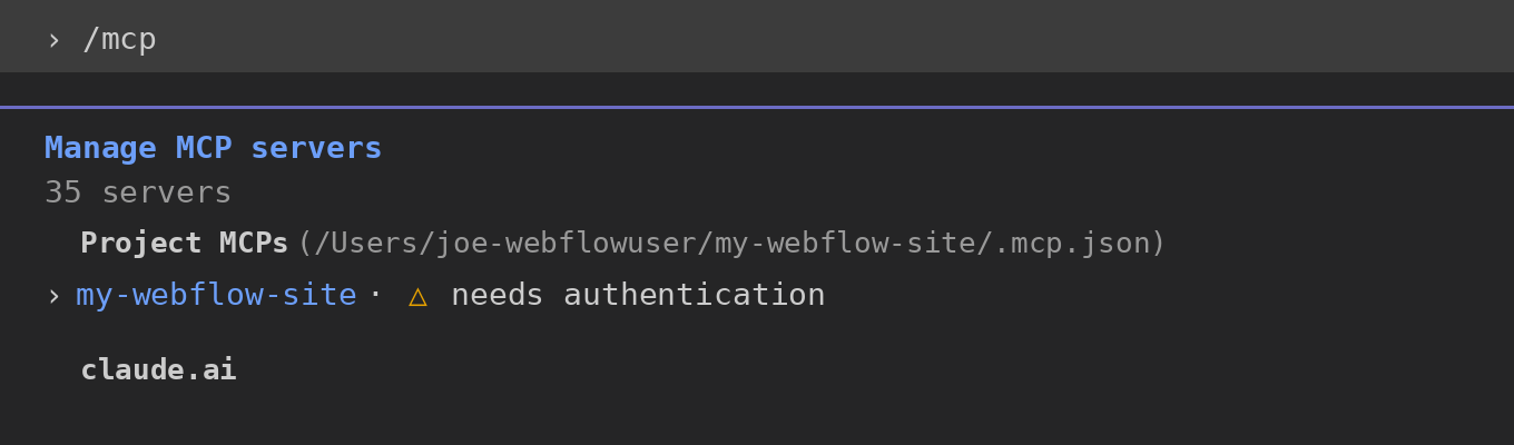 The project-specific MCP server connection in a terminal window, needing authentication