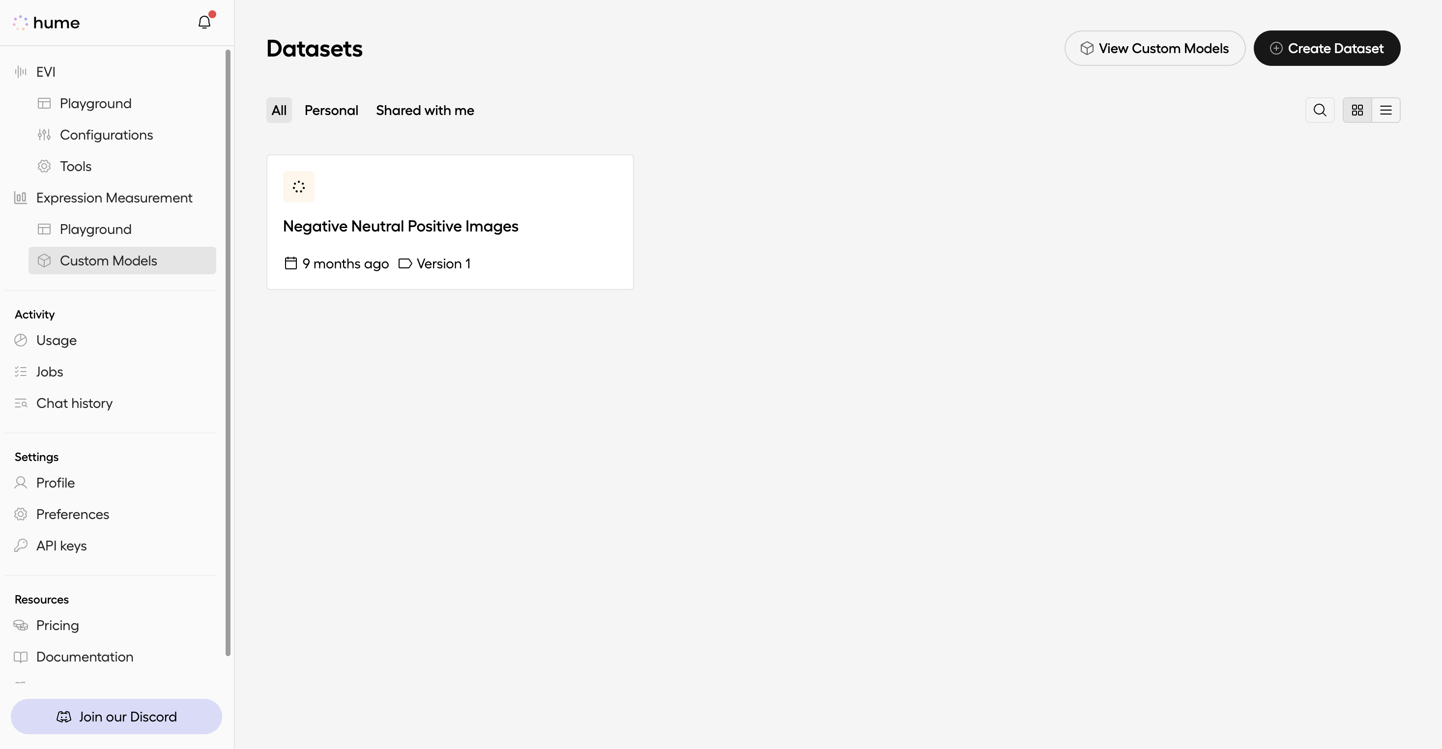Custom Models dataset section