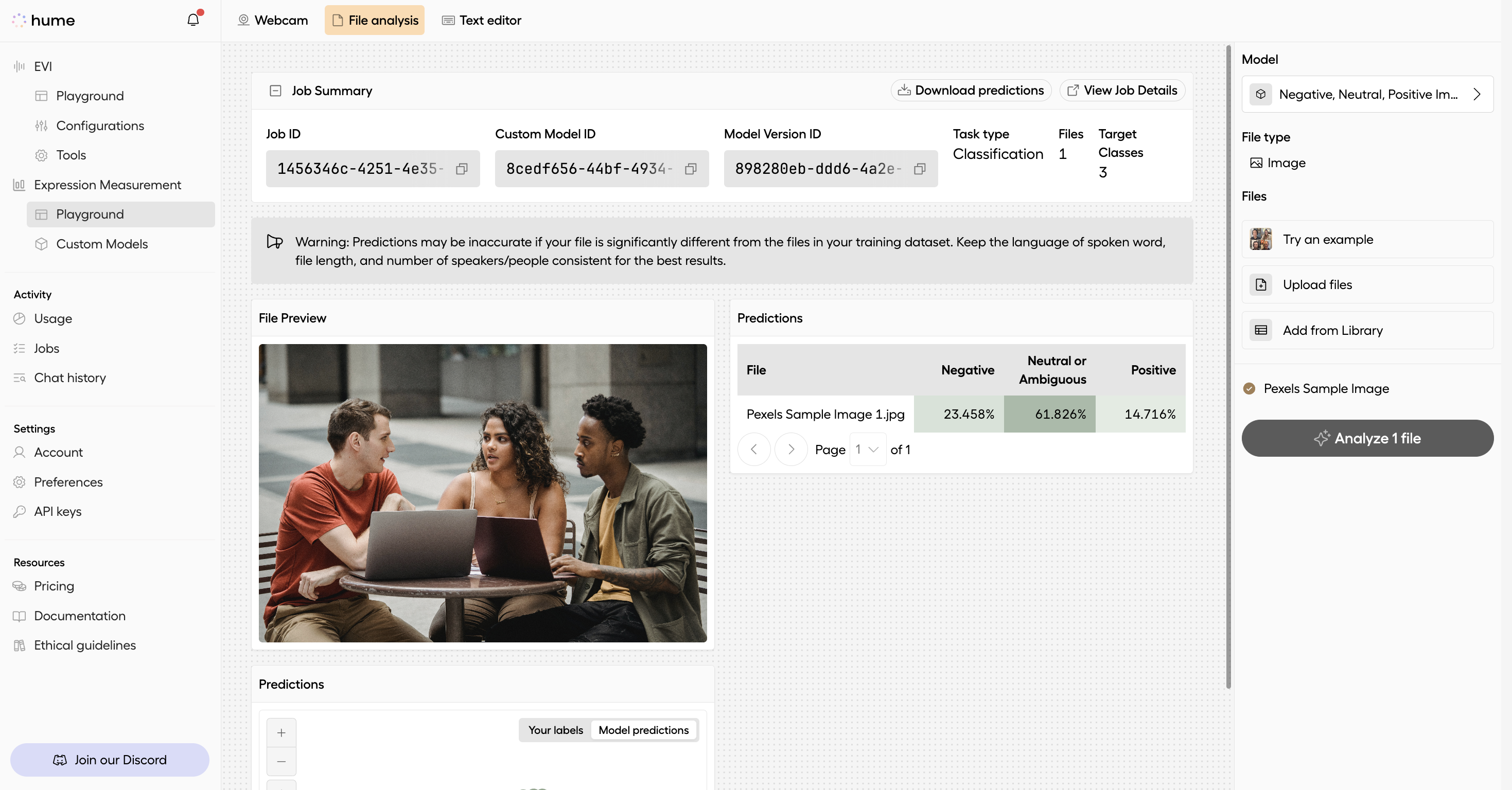Summary of results from Custom Model Job