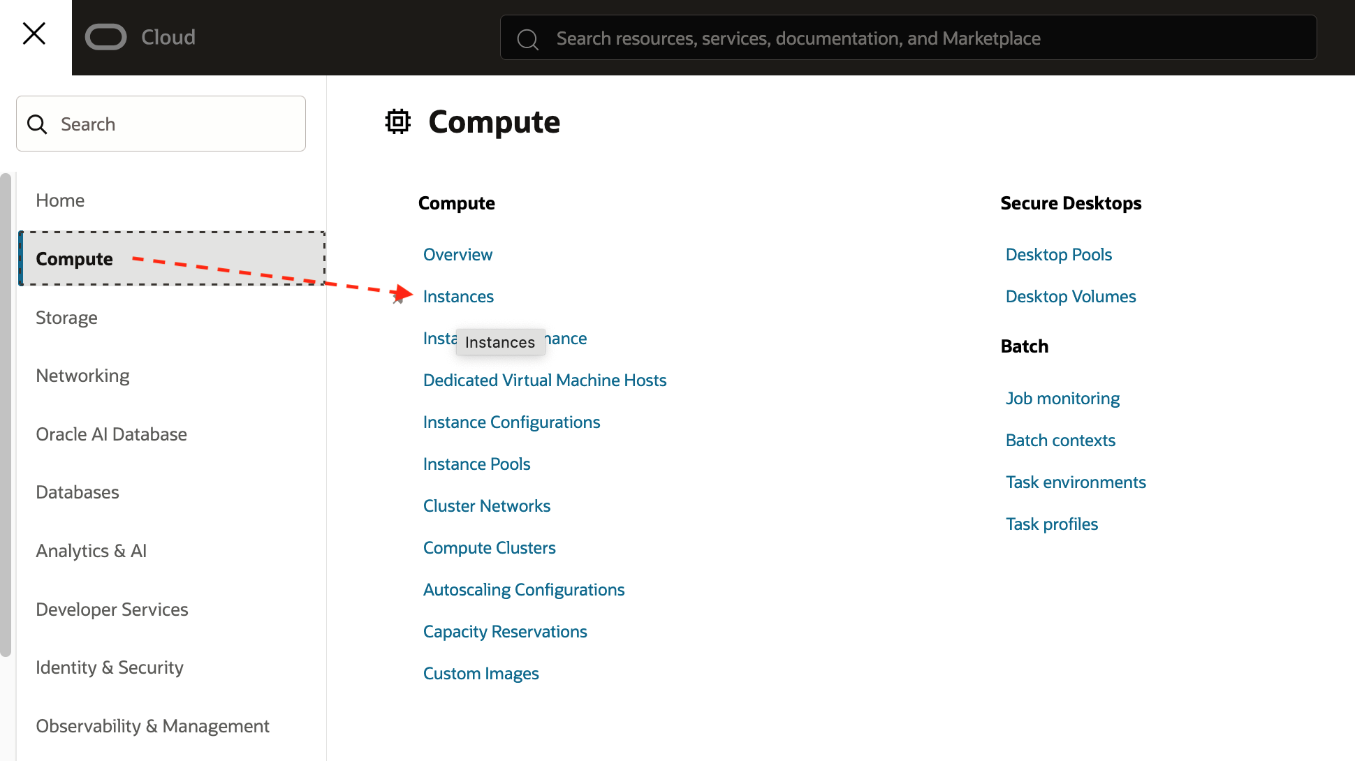 nav_compute_instances