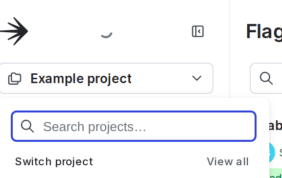 The project menu.