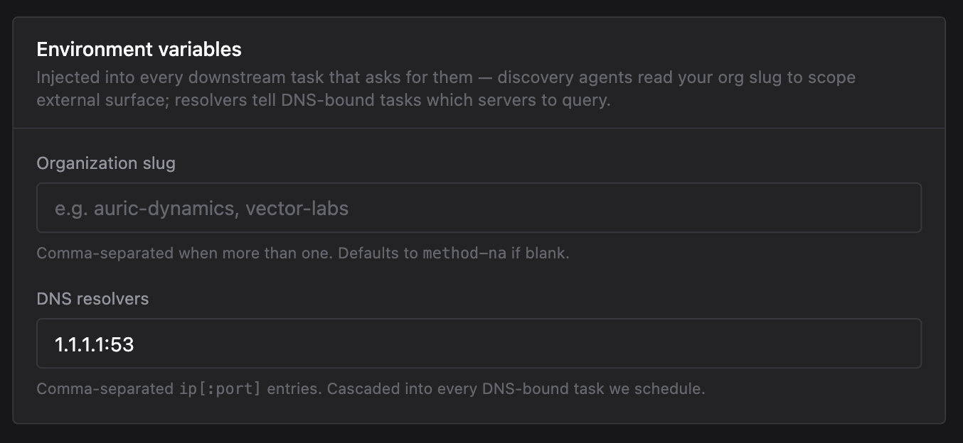 Environment variables section showing org slug and DNS resolver fields