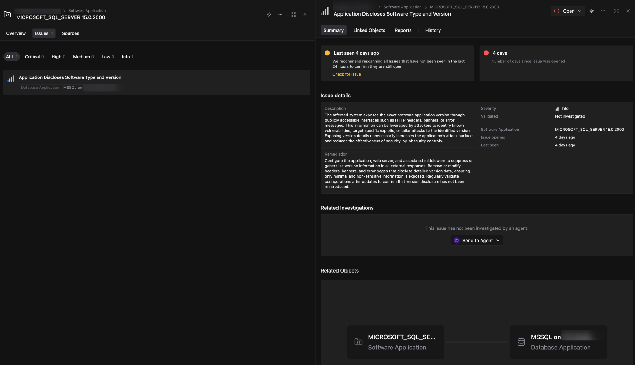 Issues tab showing one Info severity Issue, Application Discloses Software Type and Version, with the Issue detail panel open on the right displaying description, remediation guidance, and related objects