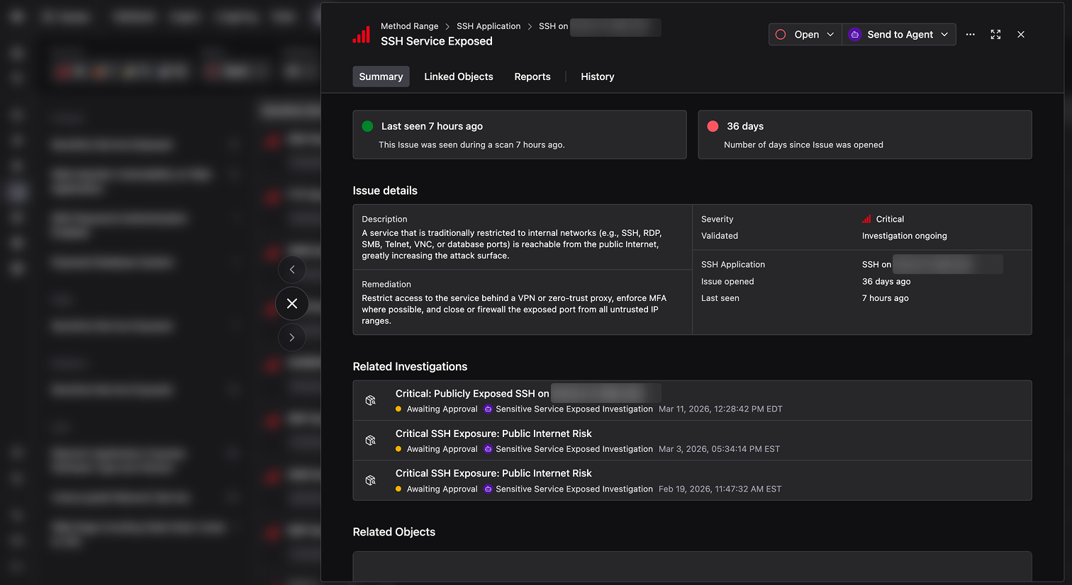 Issue detail view showing status, severity, remediation, related investigations, and related objects