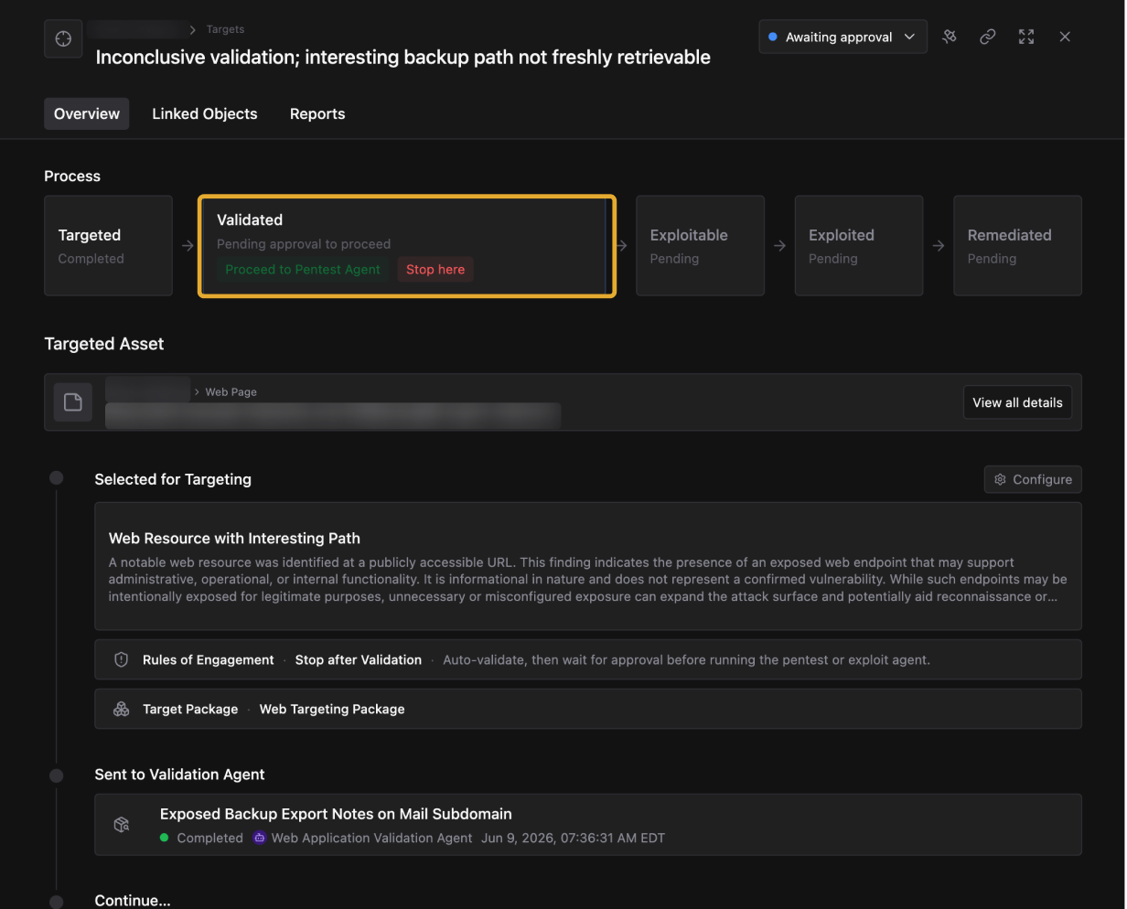 Target detail showing Validated status pending approval, with Proceed to Pentest Agent and Stop here options
