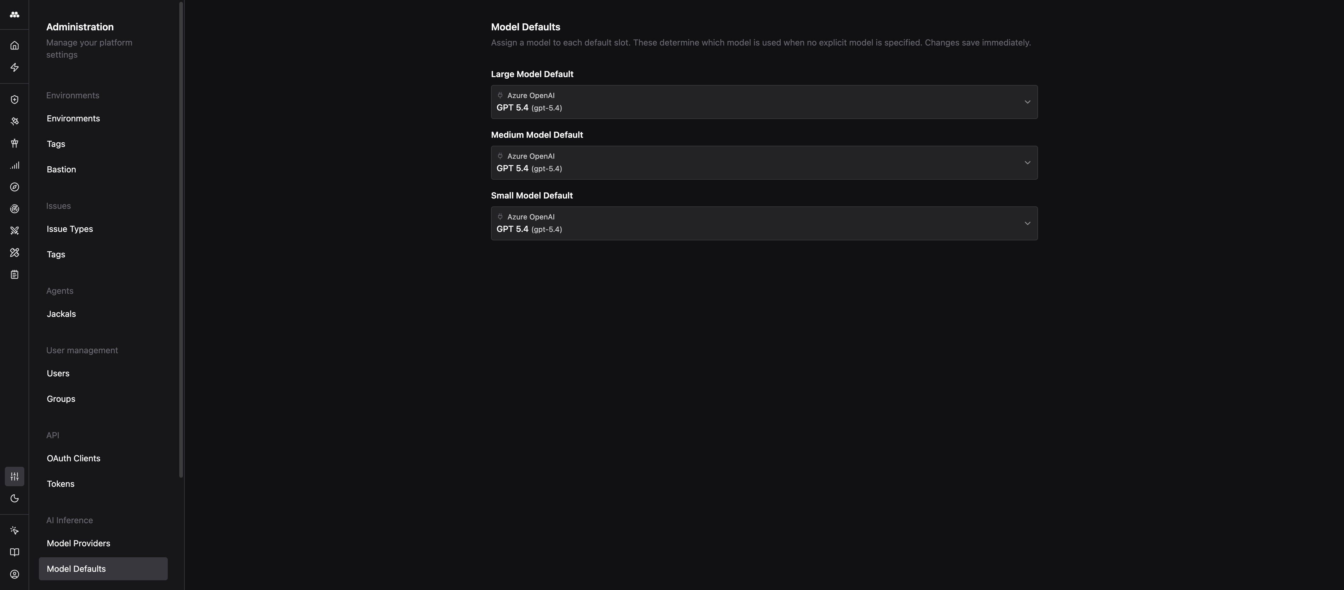 Model Defaults page showing the Large, Medium, and Small default slots