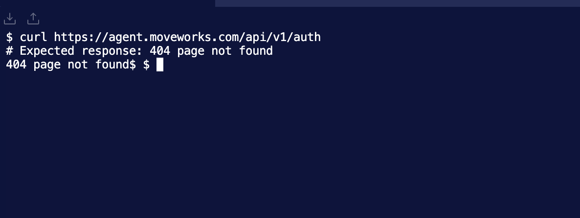 Connectivity check returning the expected 404 response