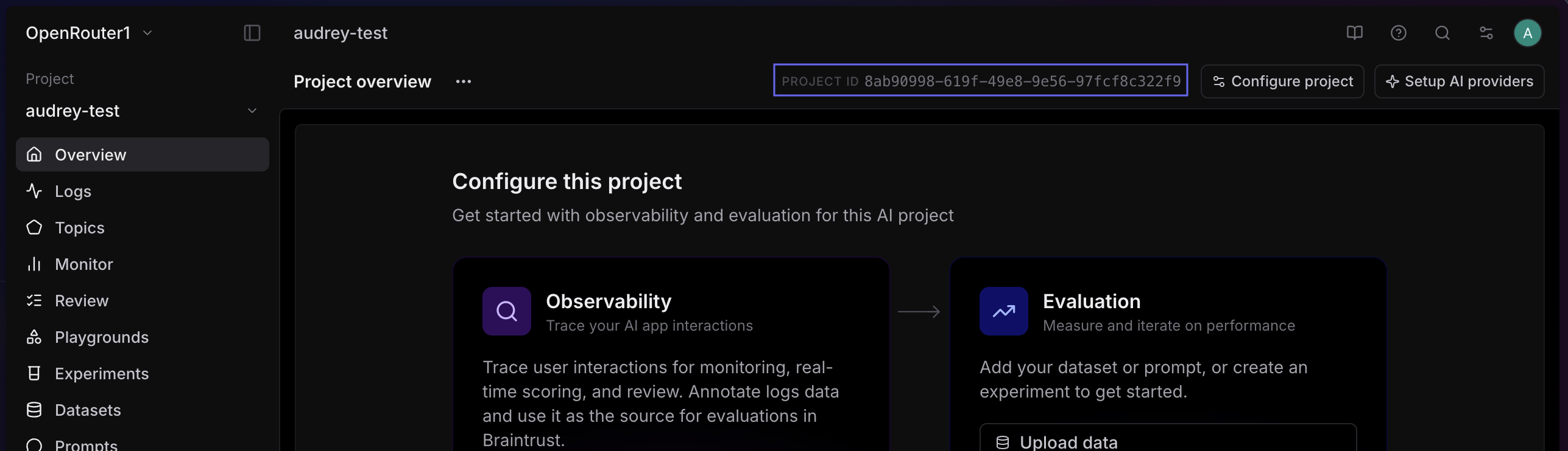 Braintrust Project ID