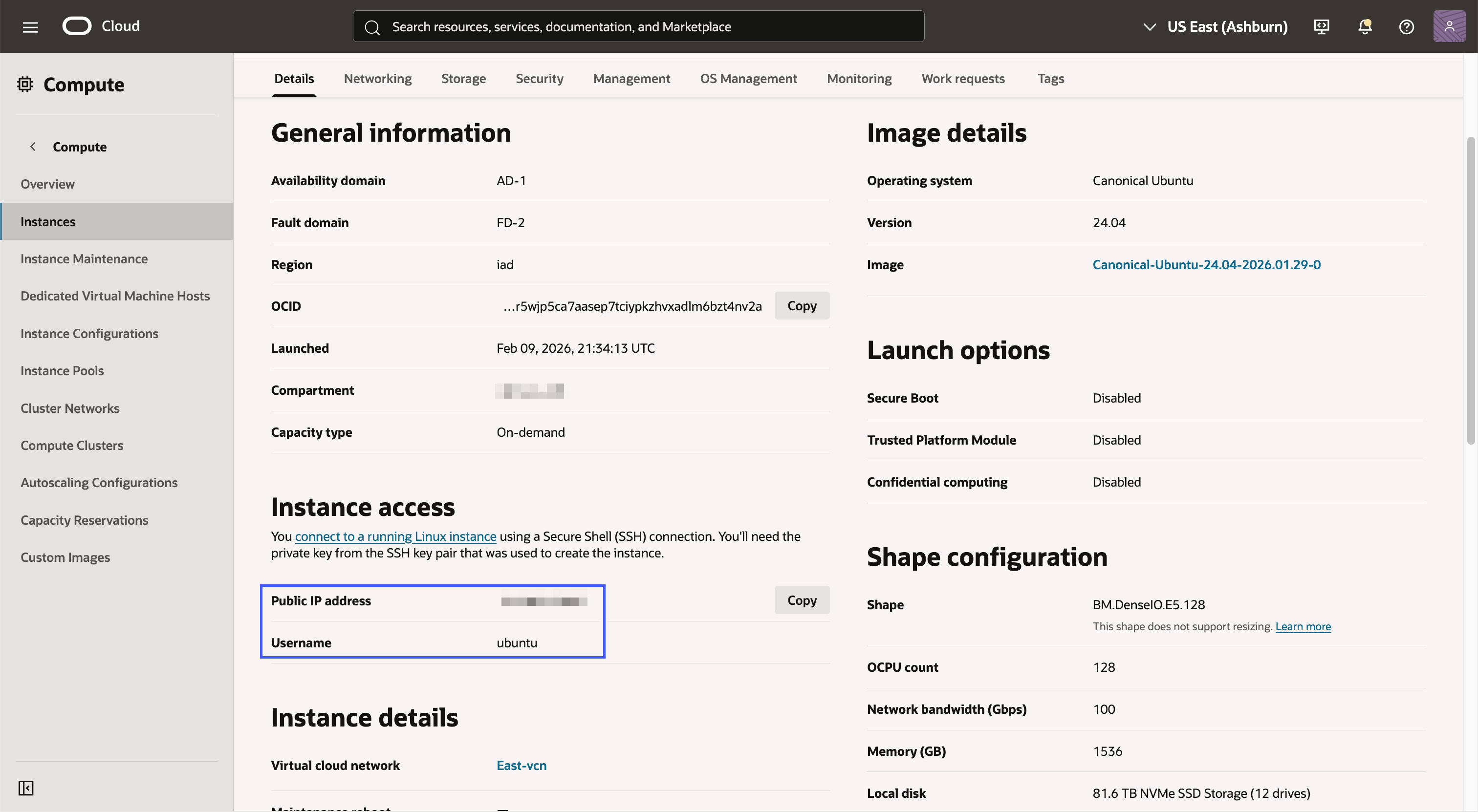 infinia_instance_details