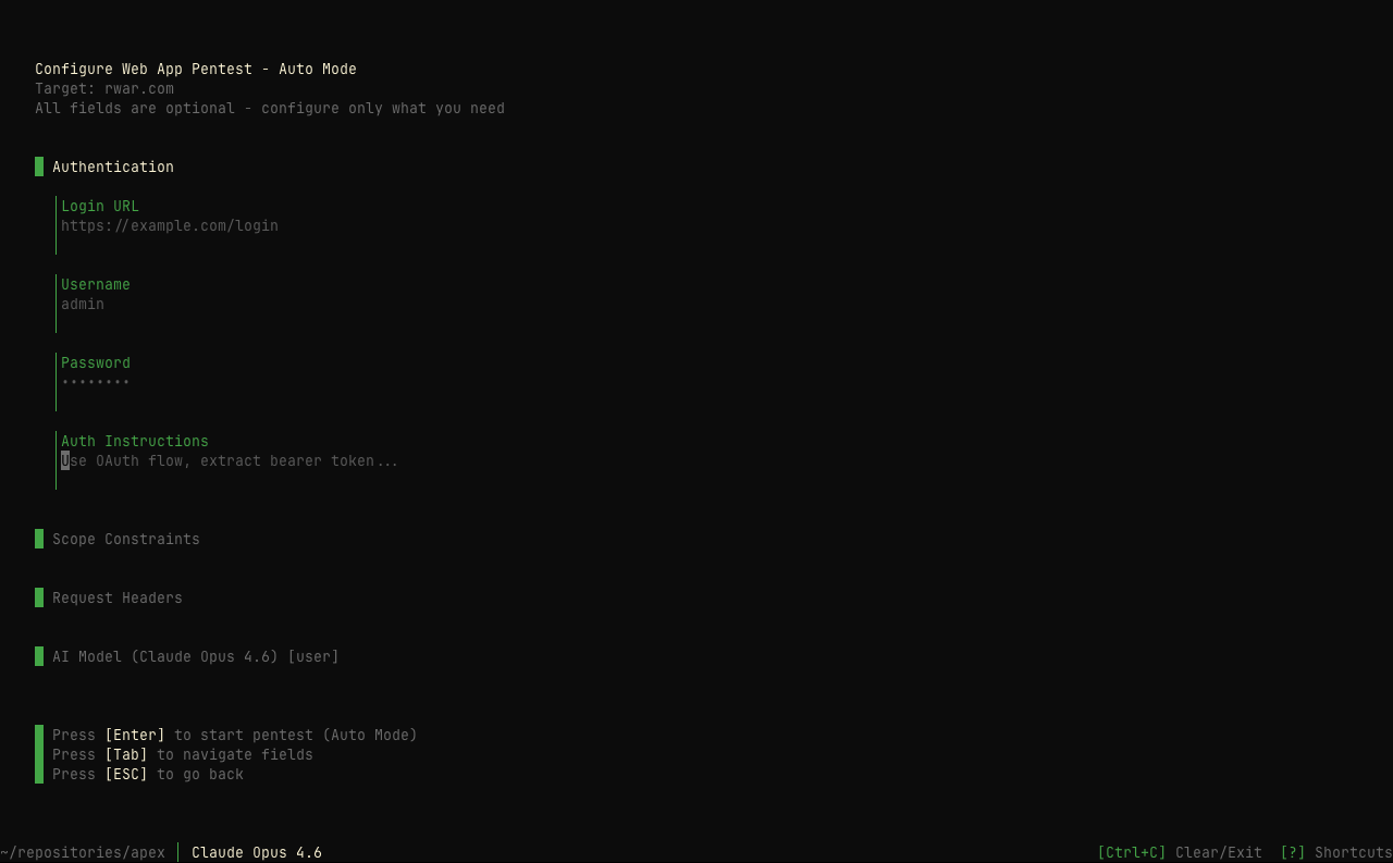 Pentest wizard — optional configuration (auth, scope, headers)