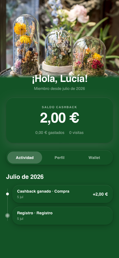 vista del saldo y su detalle en el perfil del cliente