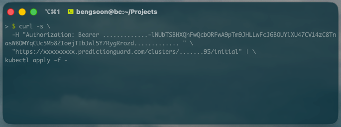Running the Installation Command