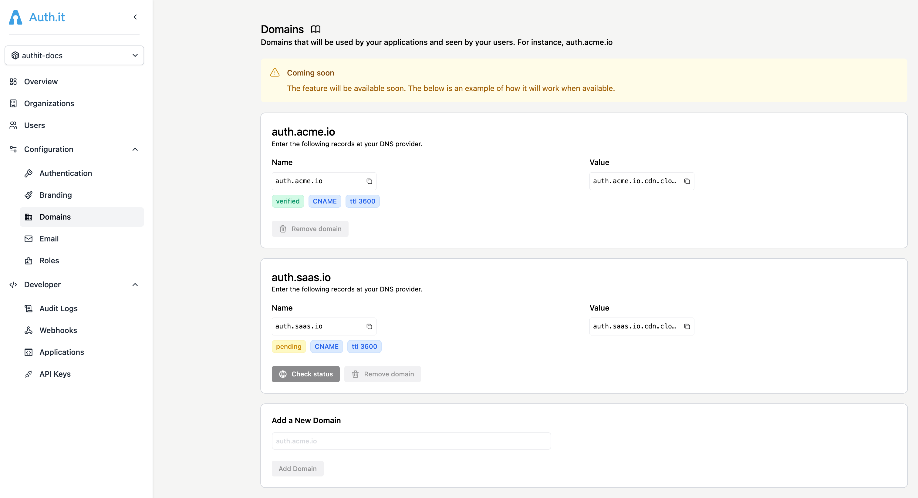 Domains feature preview