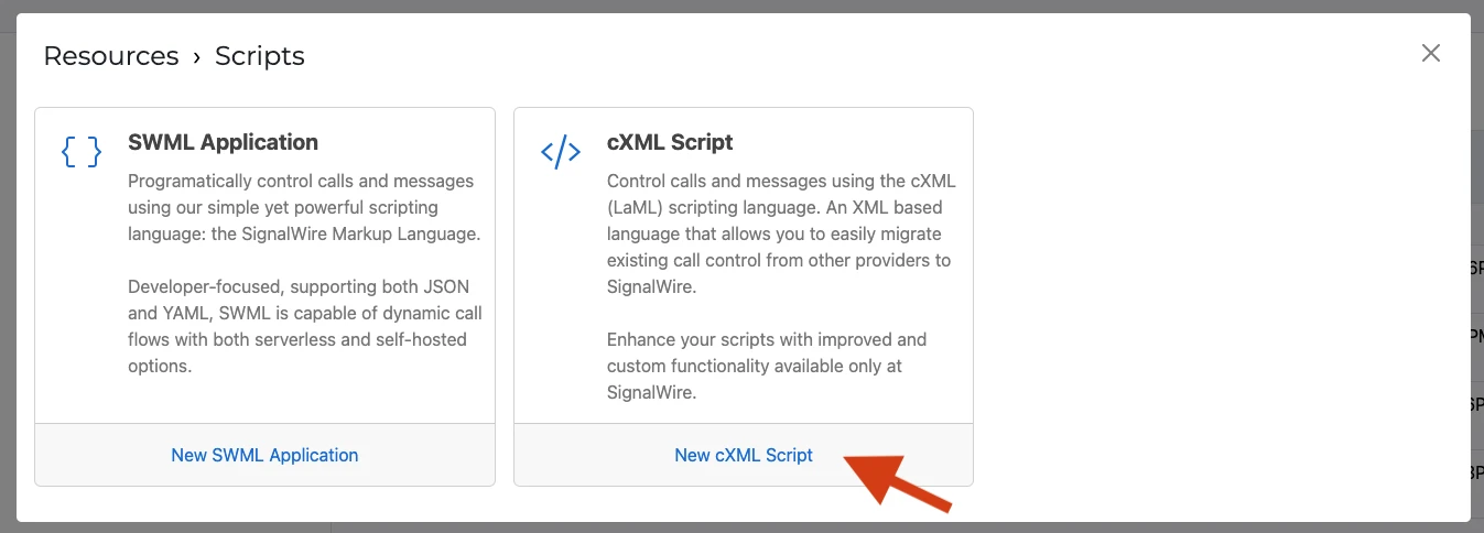 Create a new cXML script.