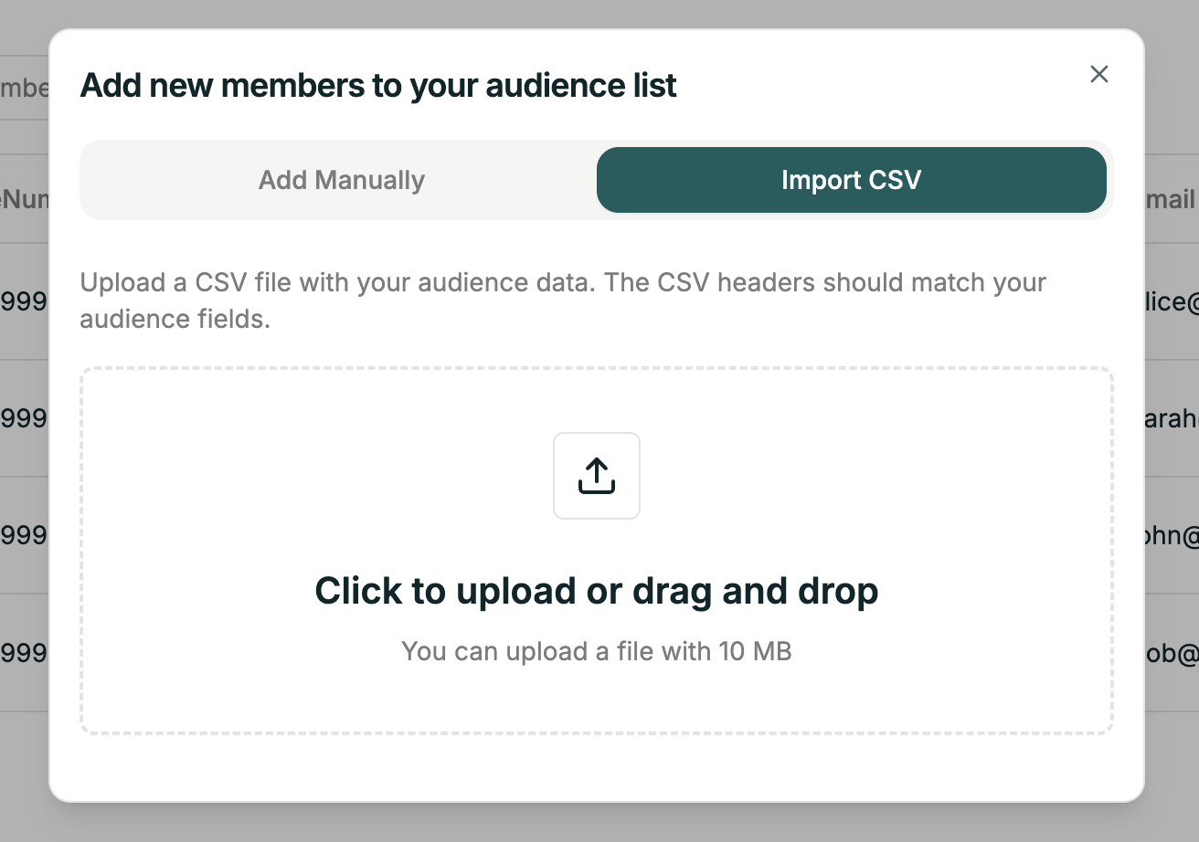 Import CSV to audience